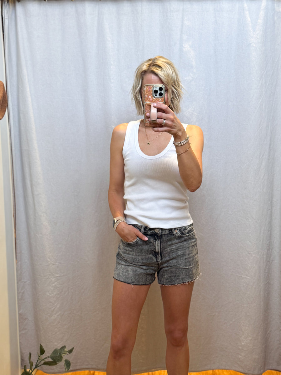 High Rise Distressed Mica Denim Shorts