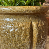 Textured Stoneware Planter  8"