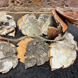 Birch Bark Leaf Garland 72”