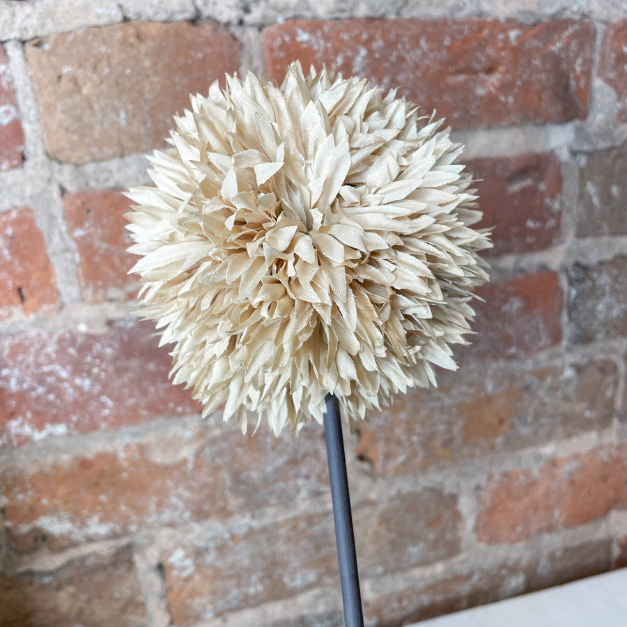 Allium Stem 26”