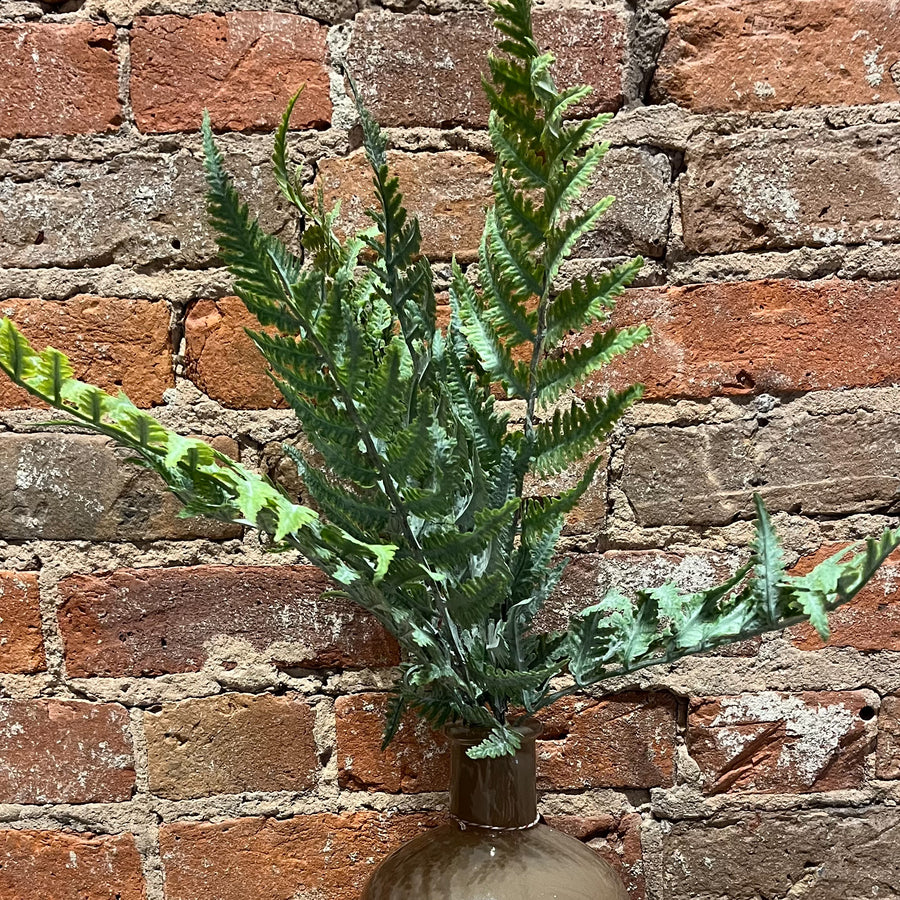 Green Fern Bush