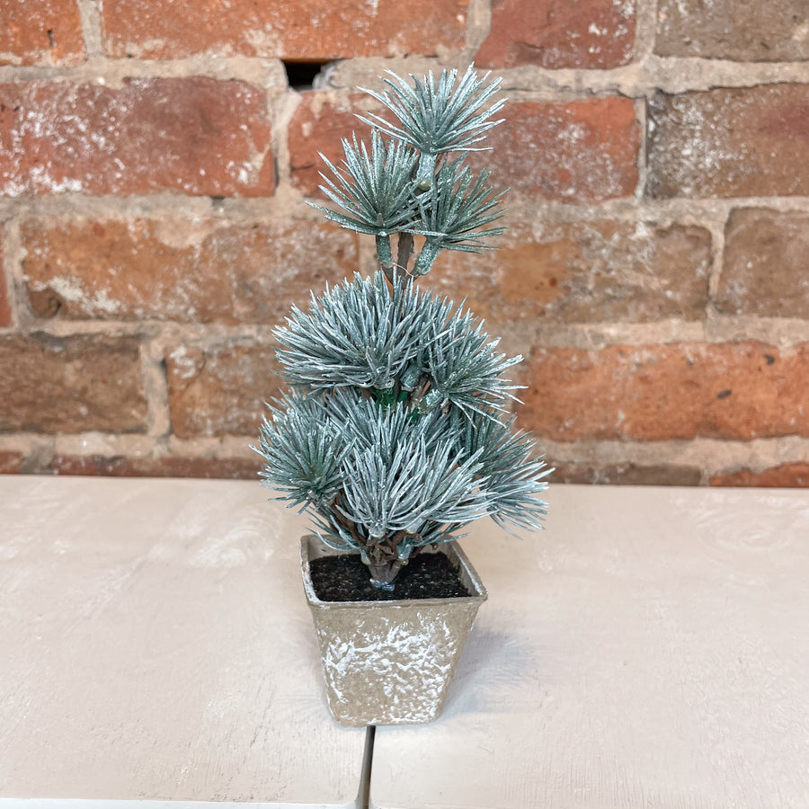 Faux Evergreen Tree in Mache Pot 2.75x8”