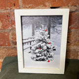 White Framed Lighted Tree Canvas 8.5"
