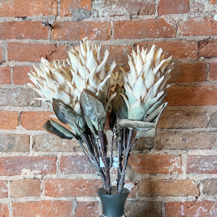 Protea Spray 30”