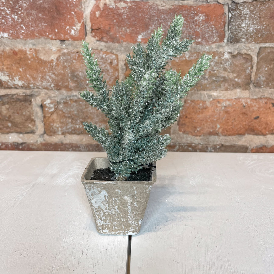 Faux Evergreen Tree in Mache Pot 2.75x8”