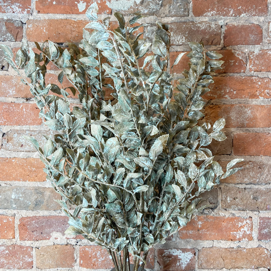 Autumn Ruscus Leaf Branch 36"