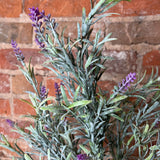 Lavender Spray 25”