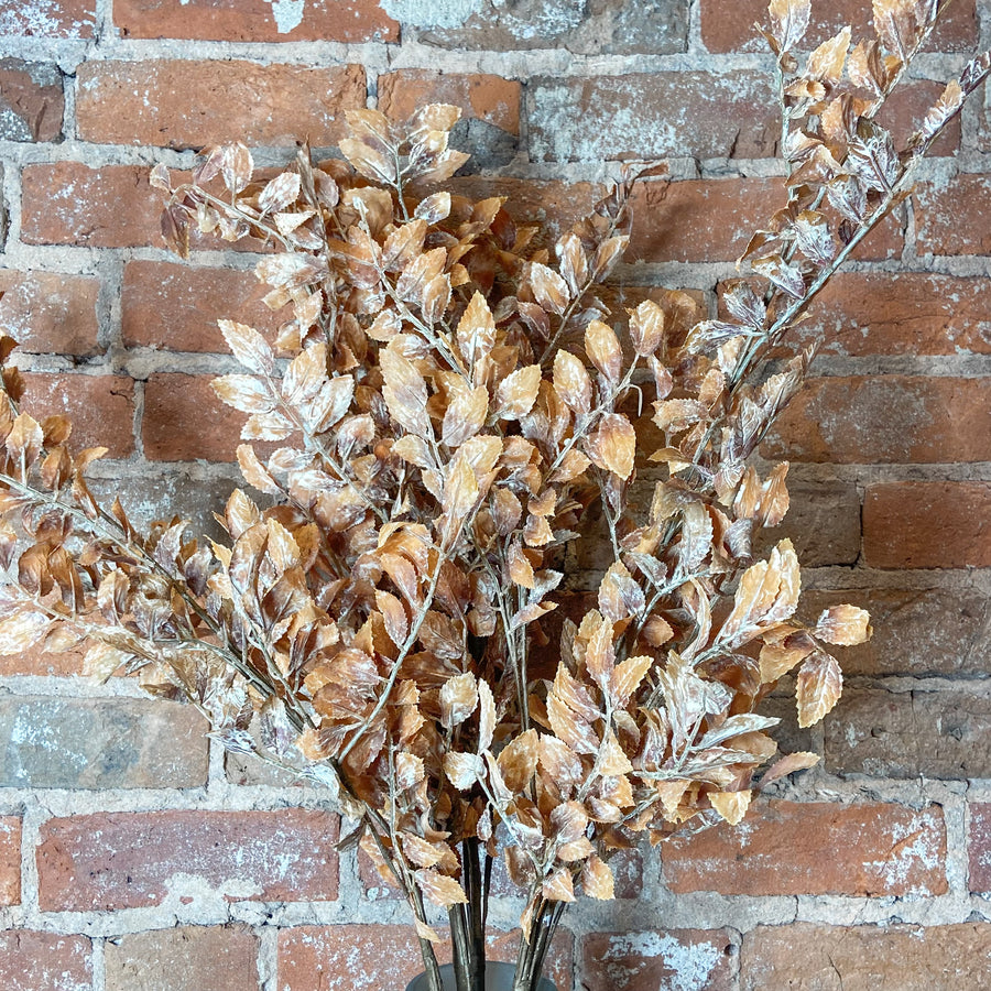 Autumn Ruscus Leaf Branch 36"