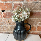 Moss Mini Jade Leaf Bush 7”