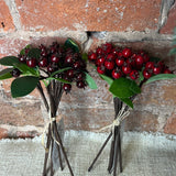 Currant Berry Bundle w/ Green Leaves 8”