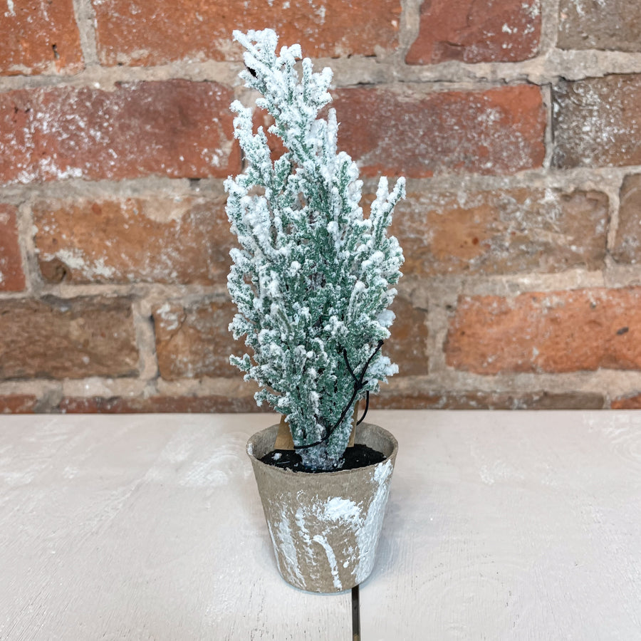 Faux Evergreen Tree in Mache Pot 2.75x8”