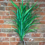 Grass Bush 30"