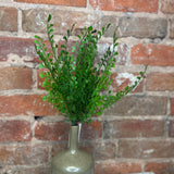 Maidenhair Fern Bush 13"