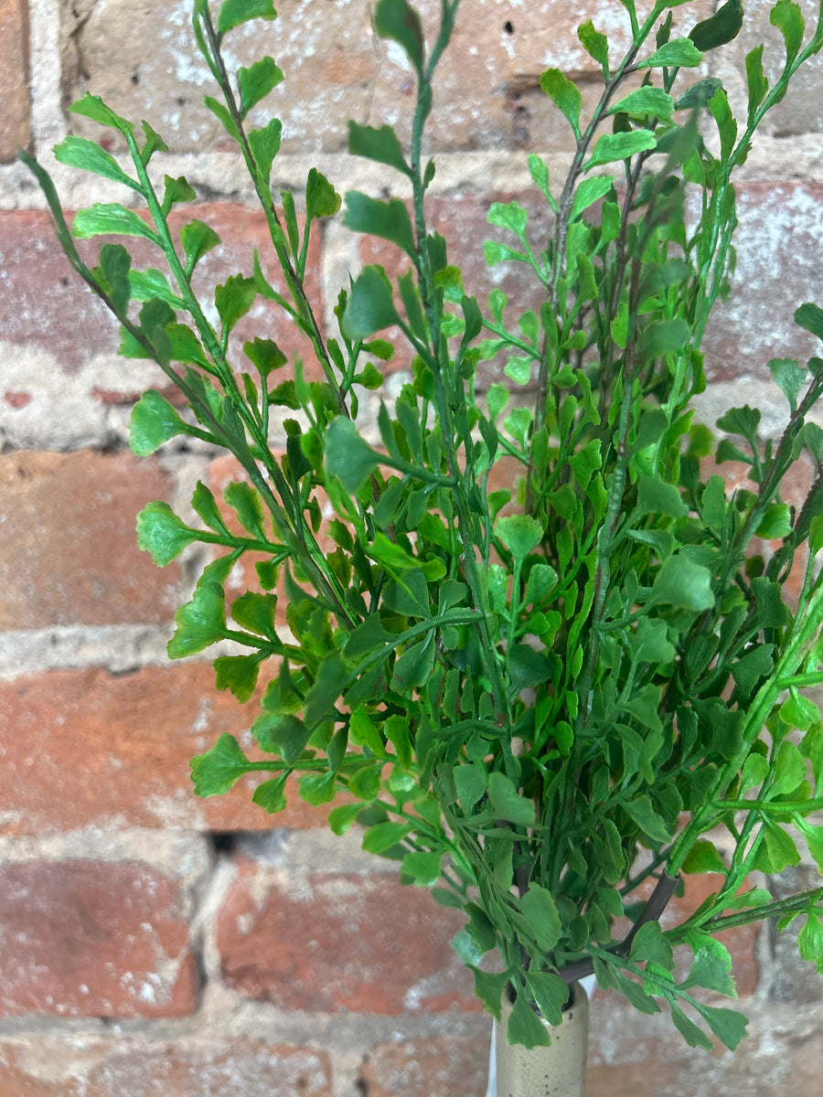 Maidenhair Fern Bush 13"