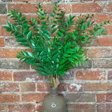 Smilax Leaf Bundle 33"