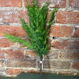 Real Touch Cedar Bundle 17”