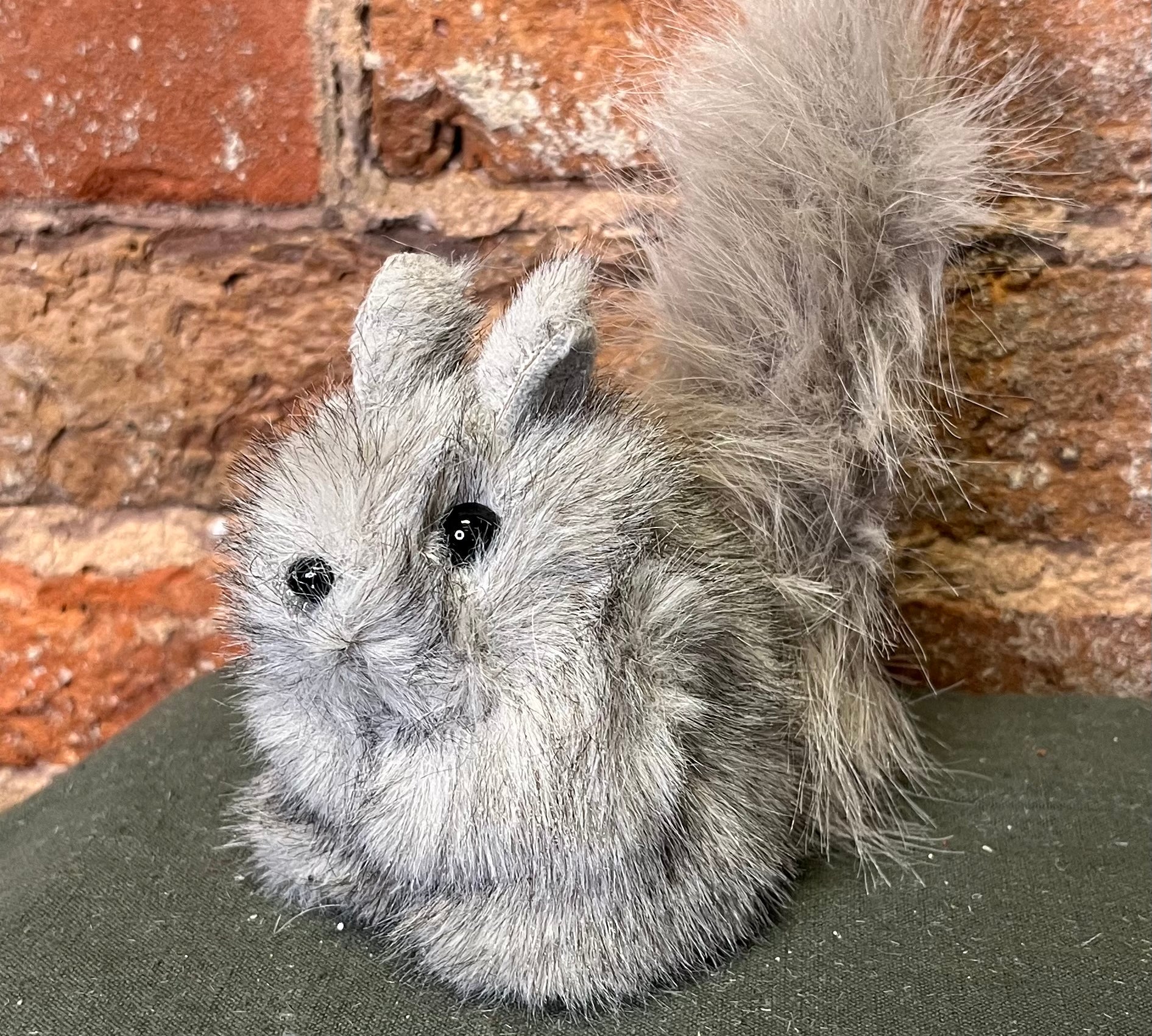 Furry Grey Squirrel Orn. 5.5”
