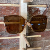 Large Framed Sunglasses