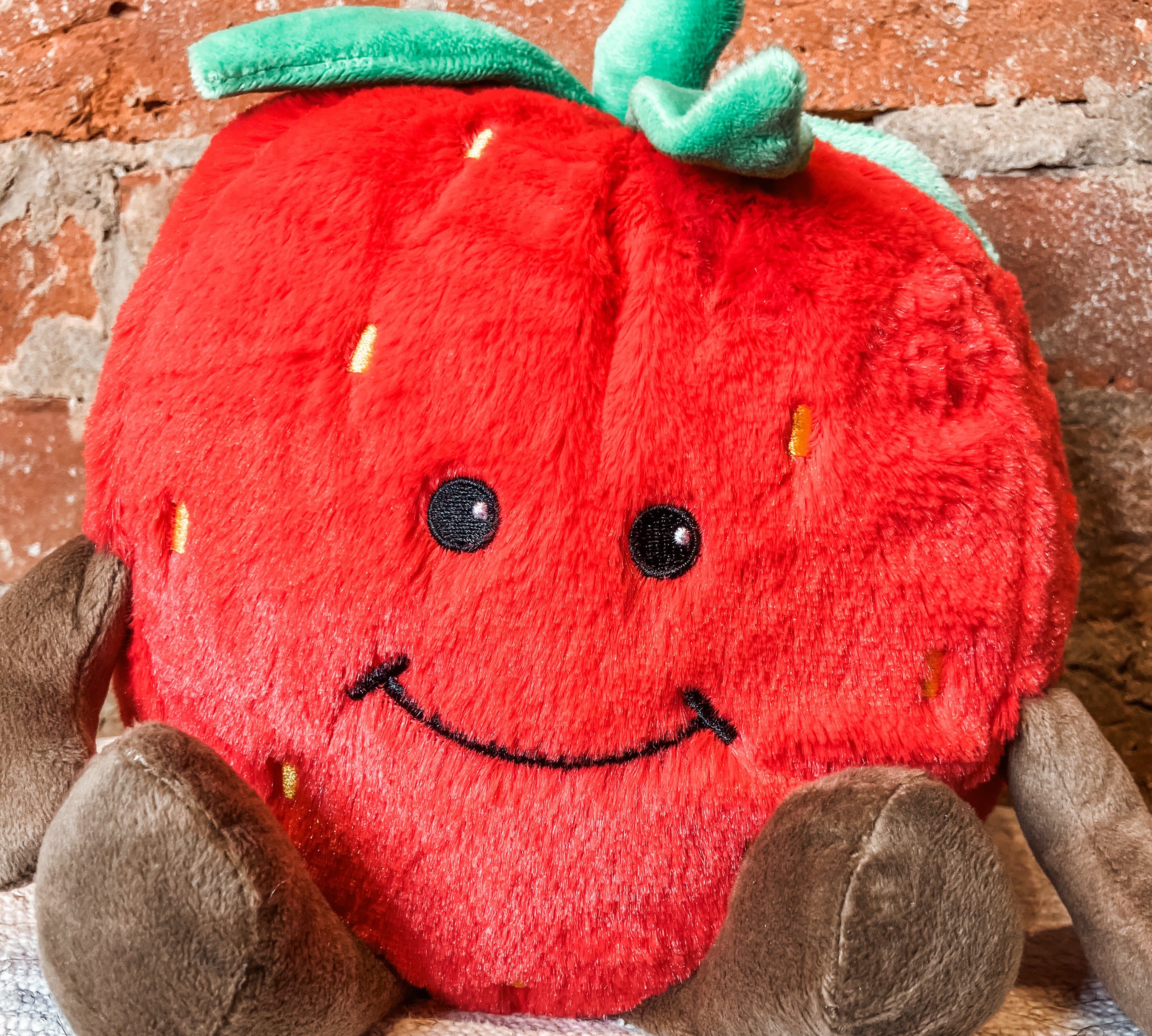 The Warmies Plush Animals