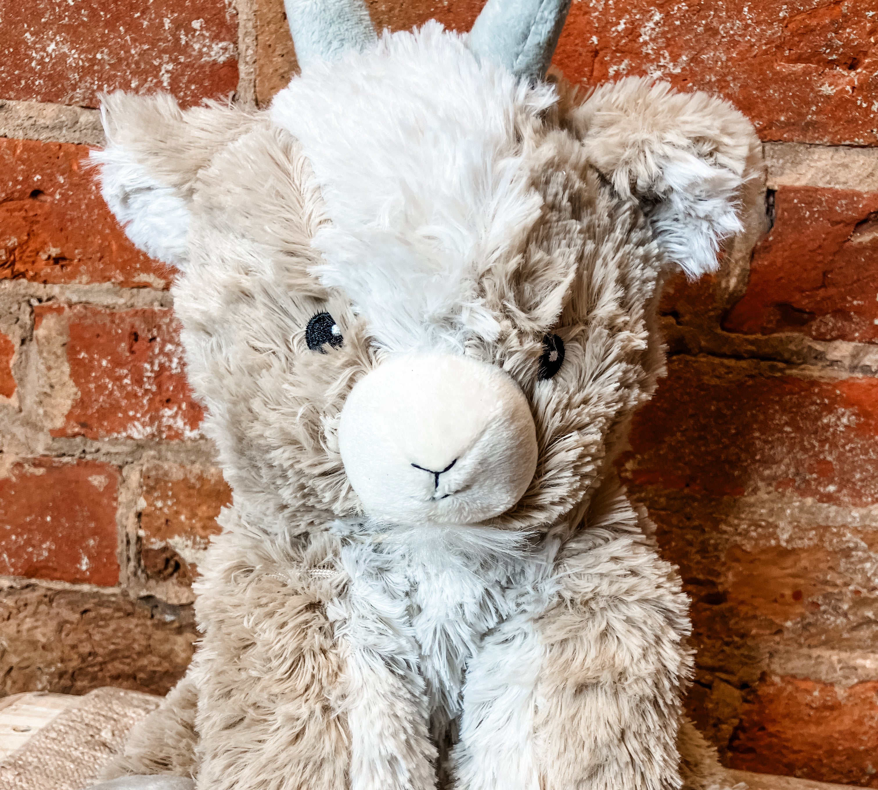The Warmies Plush Animals
