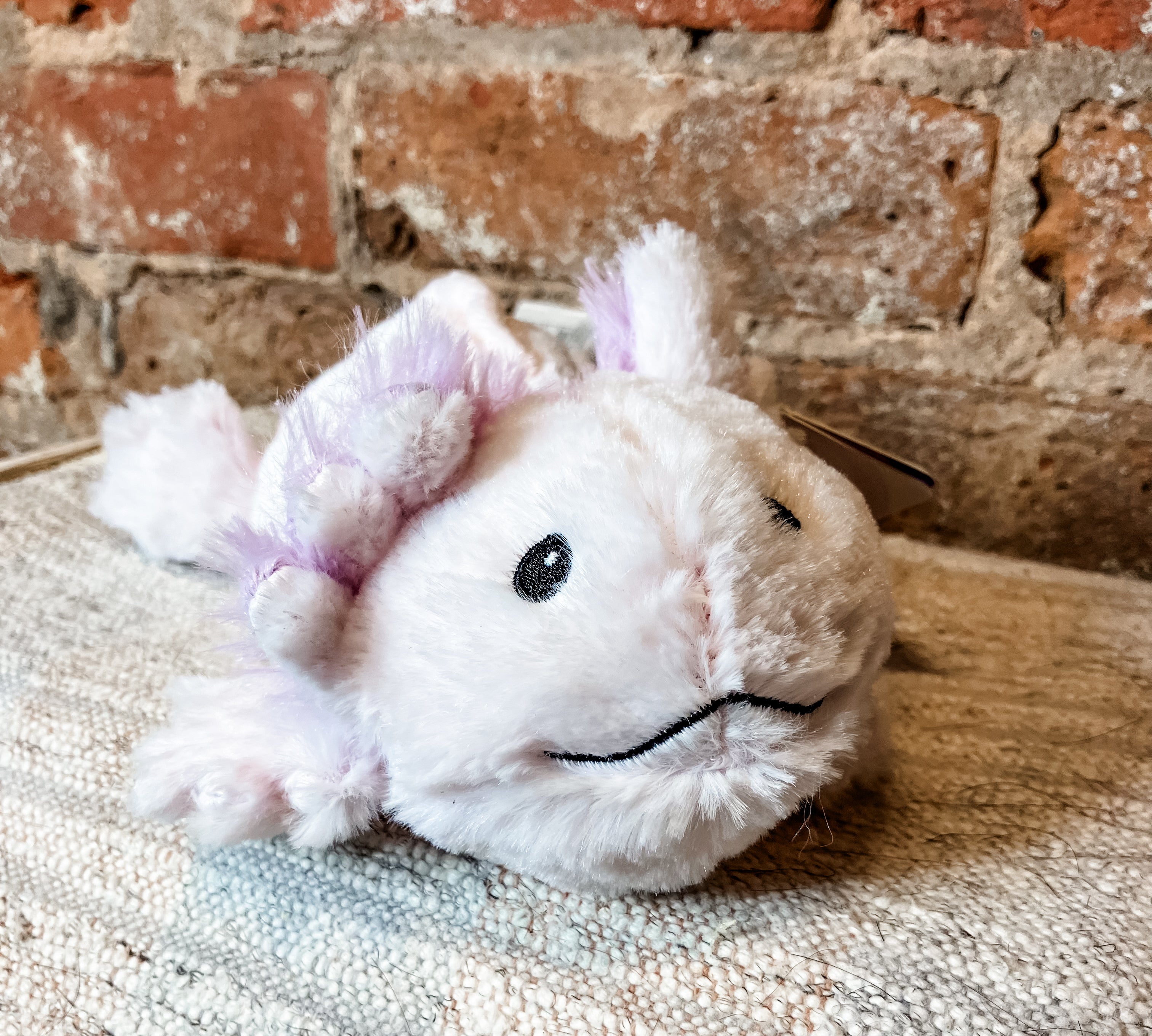 The Warmies Junior Plush Animals