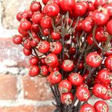 Shiny Red Berry Cluster Bundle 11.5”