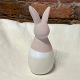 Two Tone Rabbit