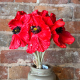 Mini Poppy Bouquet 11"