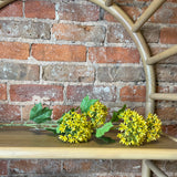 Yellow Milkwood Spray 28"