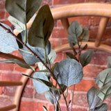 Frosted Money Leaf Spray 35"