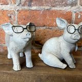 Resin Pig w/Metal Glasses 6.5"