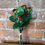 Wild Raspberry Bundle 11"