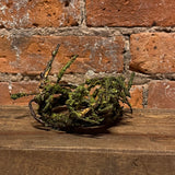 Mossy Small Ring