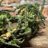 Mossy Small Ring