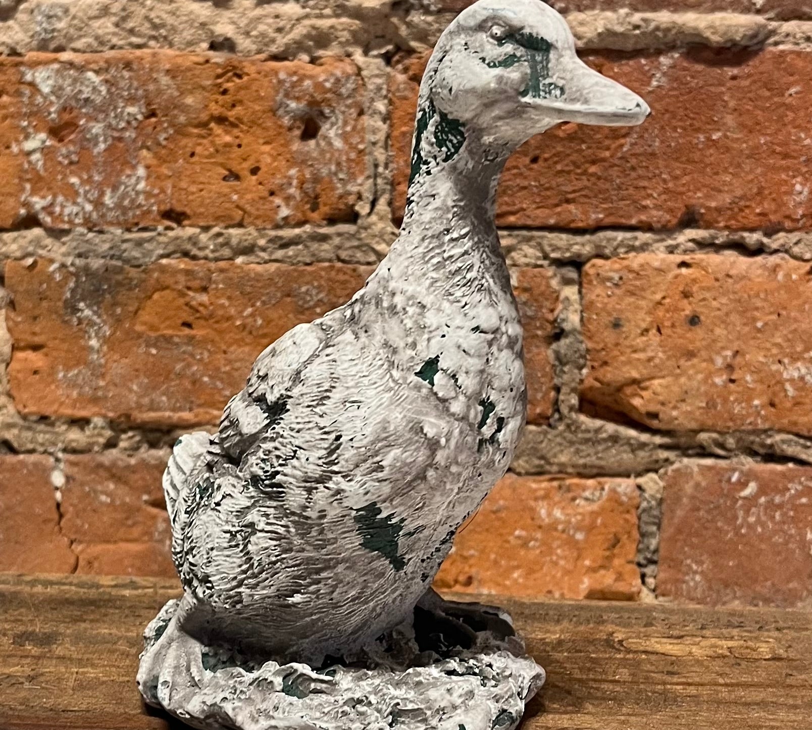 Rustic Whitewash Duck