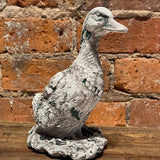 Rustic Whitewash Duck