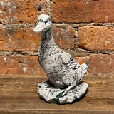 Rustic Whitewash Duck