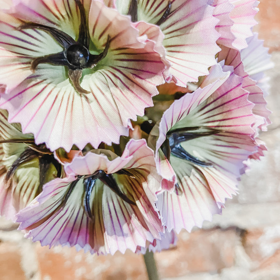 Purple Pincushion Stem 22"