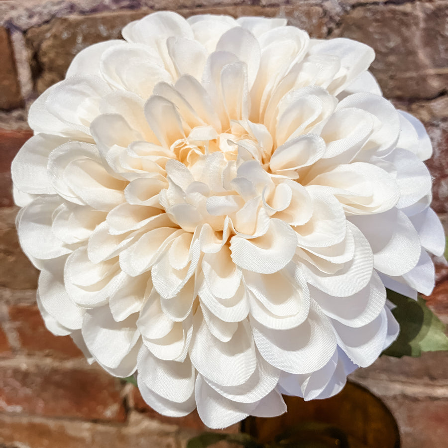 Dahlia Stem 25"