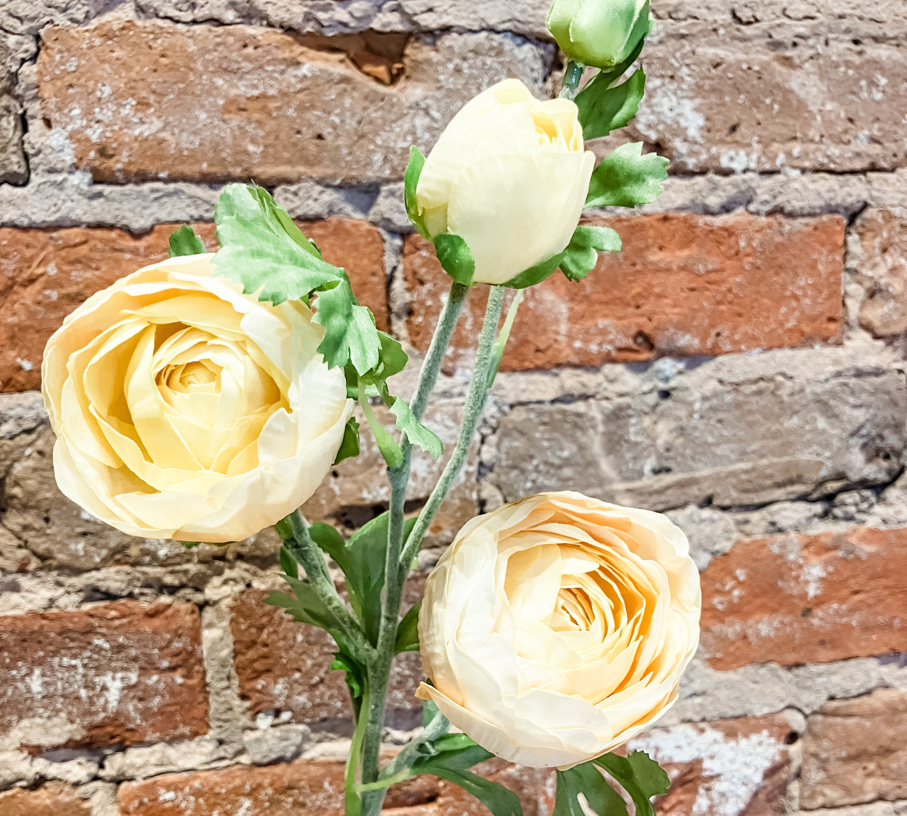 Real Touch Ranunculus Stem 24.5"