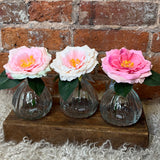 Pink Rose Stem in Glass Vase 6.5"
