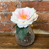 Pink Rose Stem in Glass Vase 6.5"