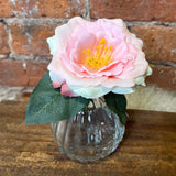 Pink Rose Stem in Glass Vase 6.5"