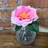 Pink Rose Stem in Glass Vase 6.5"