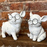 White Resin Eyes Closed Pig w/Glasses 6.5"