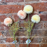 Textured Ball Spray 20"