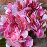 Real Touch Pink Hydrangea 19"