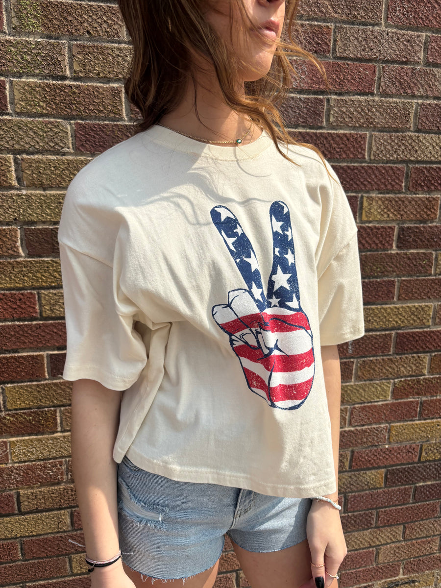 American Flag Graphic Long Crop Top