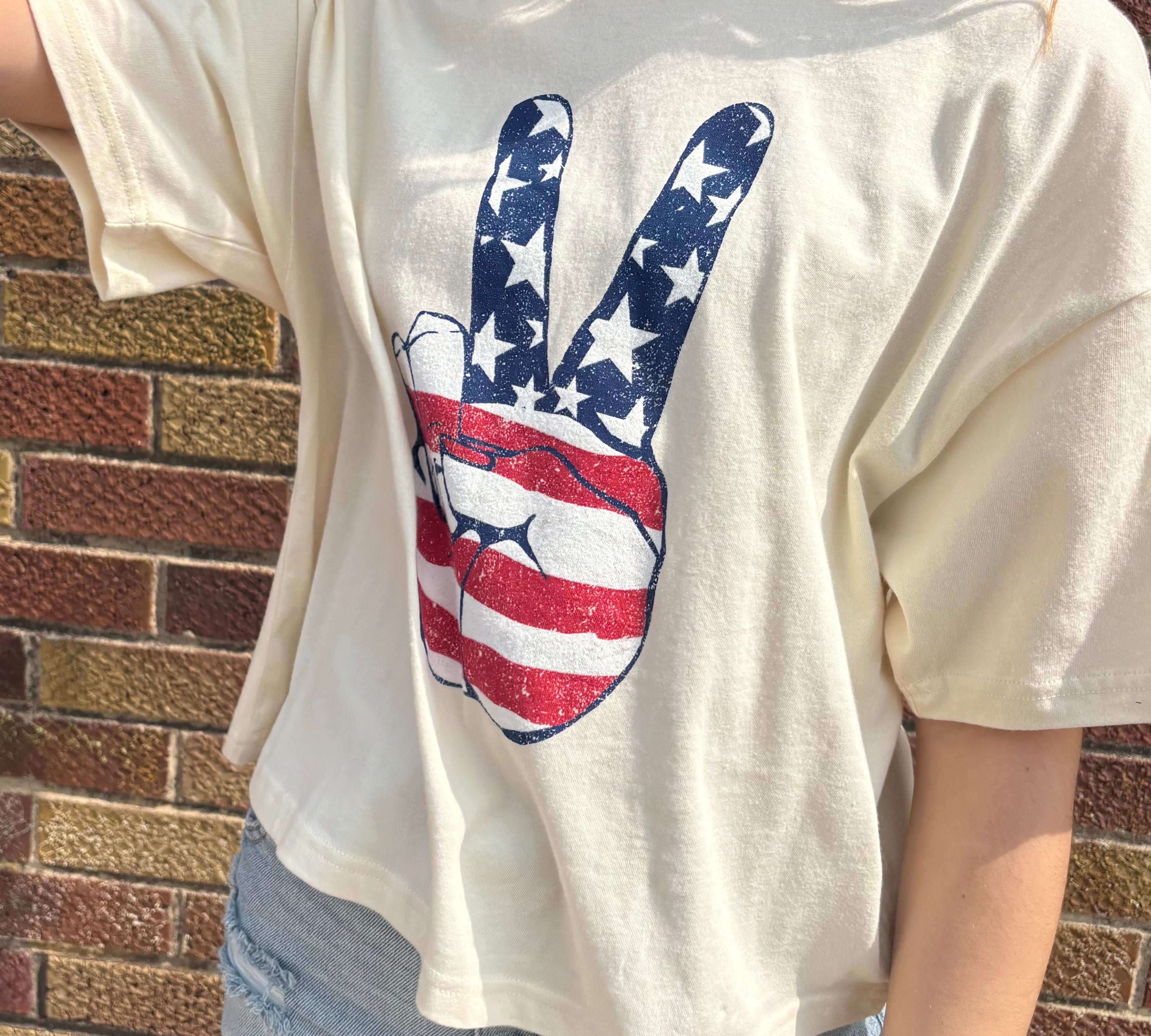 American Flag Graphic Long Crop Top
