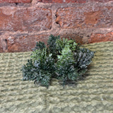 Snowy Mixed Green Cypress Ring 5.5"